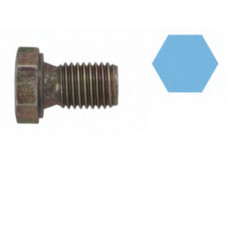 Болт зливу оливи BMW 3 (E20/E36/E39/E46)/5 (E60)/7 (E23/E32/E65)/8 (E31) -10