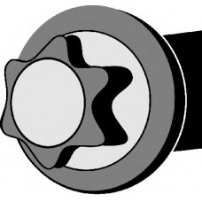 Болти головки (к-кт 12шт.) Chevrolet Aveo/Opel Astra J/Insignia/Zafira C 1.2-1.4LPG 08-