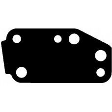 Прокладка помпи води Ford Transit 2.4 TDCI 00-06