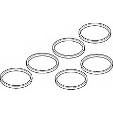 Комплект прокладок, впускний колектор BMW N51/N52/N53/N54 (вир-во Elring)