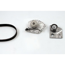 Комплект ГРМ + помпа Nissan Primera 1.9dCi 02-/Renault Scenic/Megane 1.9dCi 03-(133x26)