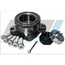 Підшипник маточини (передньої) Ford Transit 00-06 (к-кт)