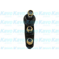 Опора кульова (передня/знизу) Chevrolet Aveo/Kalos 05-/Daewoo Kalos 02-
