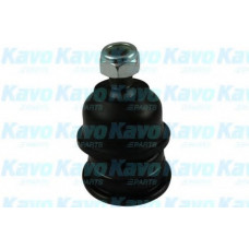 Опора кульова (передня) Hyundai Accent I/II 94-05/ Elantra 00-06/ Kia Cerato 04-/ Rio 11-