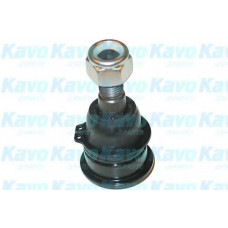 Опора кульова (передня/знизу) Nissan Primera/Sunny 86-02/Almera II 00-