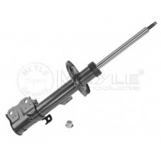 Амортизатор (передній) Smart Forfour 04-06/Mitsubishi Colt 04-12 (L)