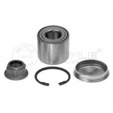 Підшипник маточини (задньої) Renault Megane II 02- (25x55x45) (К-кт)