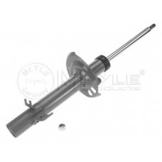 Амортизатор (передній) Citroen C1/Peugeot 107/Toyota Aygo 1.0/1.4D 05- (R)