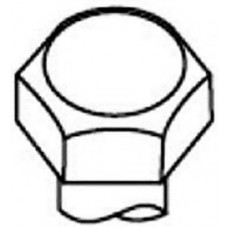 Болт головки блоку (компл.) FORD 1.1/1.3/1.4/1.6 CVH (вир-во PAYEN)