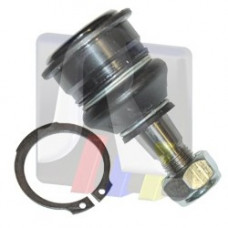 Опора кульова (передня/знизу) Nissan Primera 90-02/Almera II 00-06 (d=38.08mm)